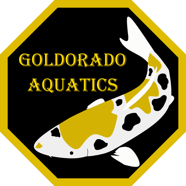 Goldorado Aquatics logo