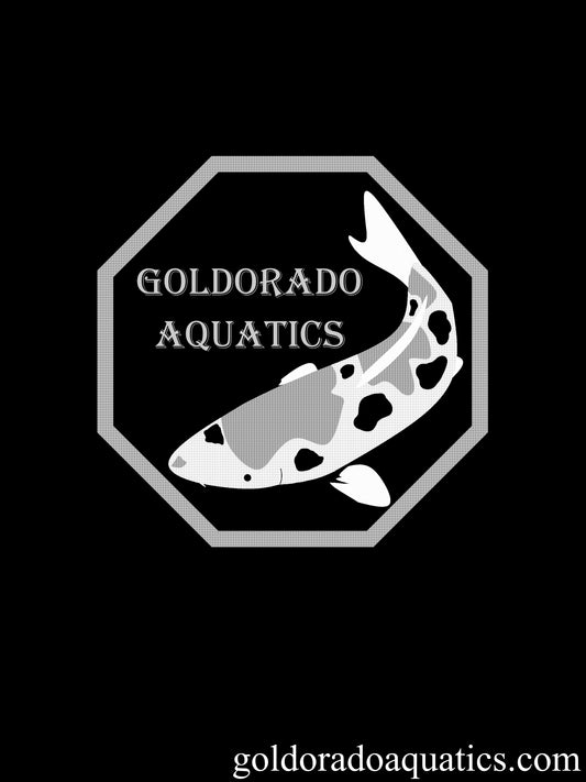 Black and white goldoradoaquatics.com logo used as a placeholder image.
